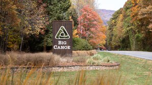 Une enseigne en bois portant l’inscription « Big Canoe » et un logo triangulaire, le tout entouré de feuillage d’automne et d’un mur de pierres.
