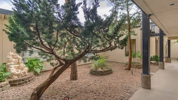 Terrain de l’hébergement