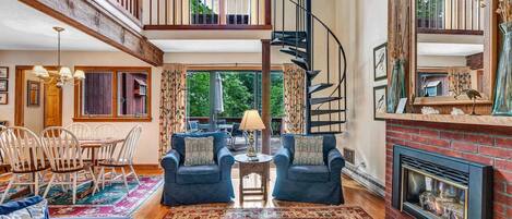 Télévision, cheminée, livres, espaces bureaux