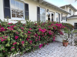 Exterior detail - Classic Villa by River front park near Beach/Brickell (Miami)