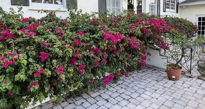 Classic Villa by River front park near Beach/Brickell