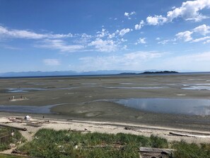In Strandnähe, Strandtücher