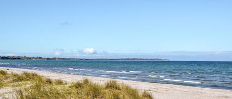 Beach nearby, fishing