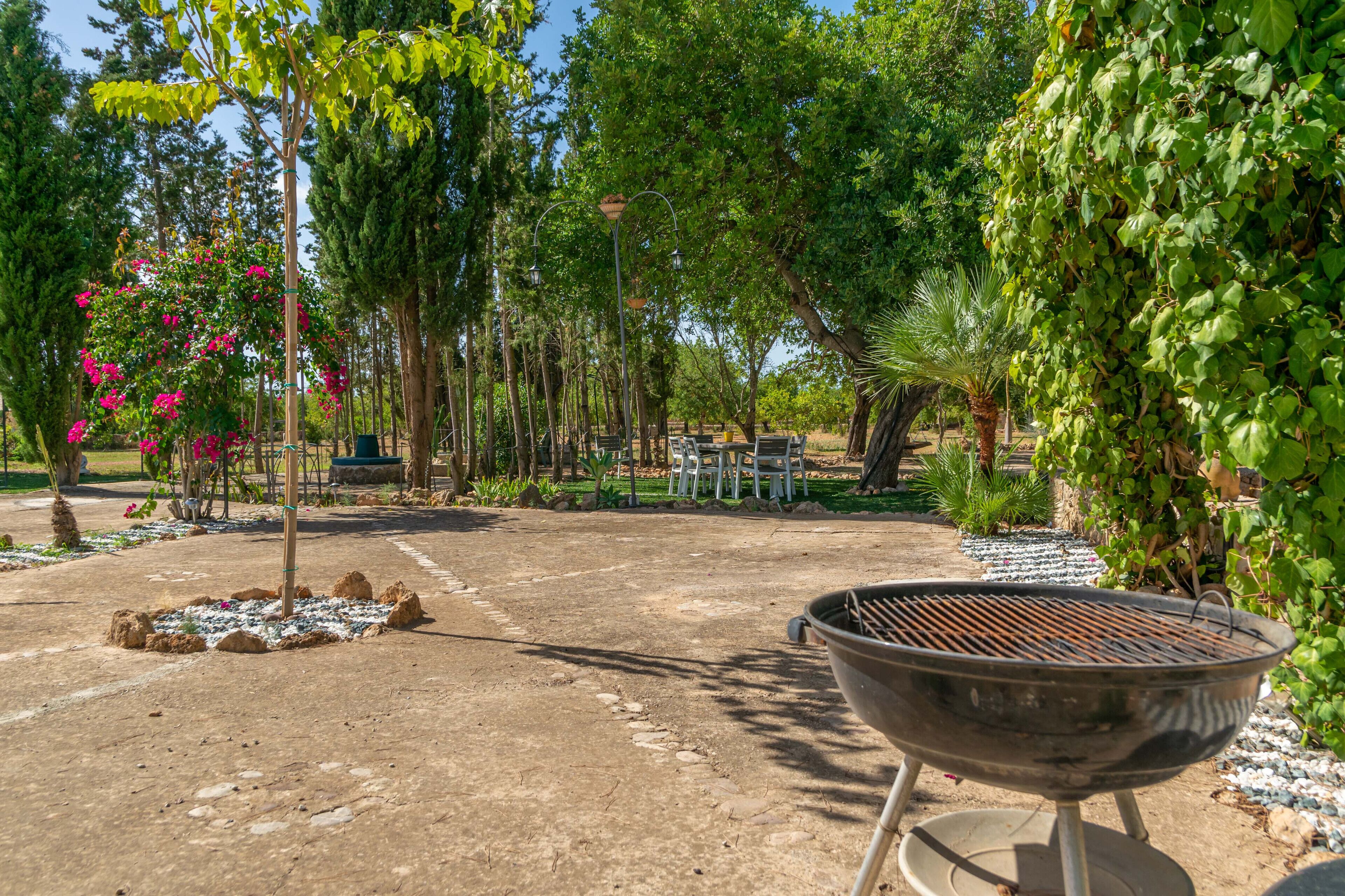 A barbecue grill in a garden with trees and plants.