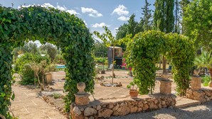 A garden with stone pathways, a stone wall, and a pergola covered in ivy.
