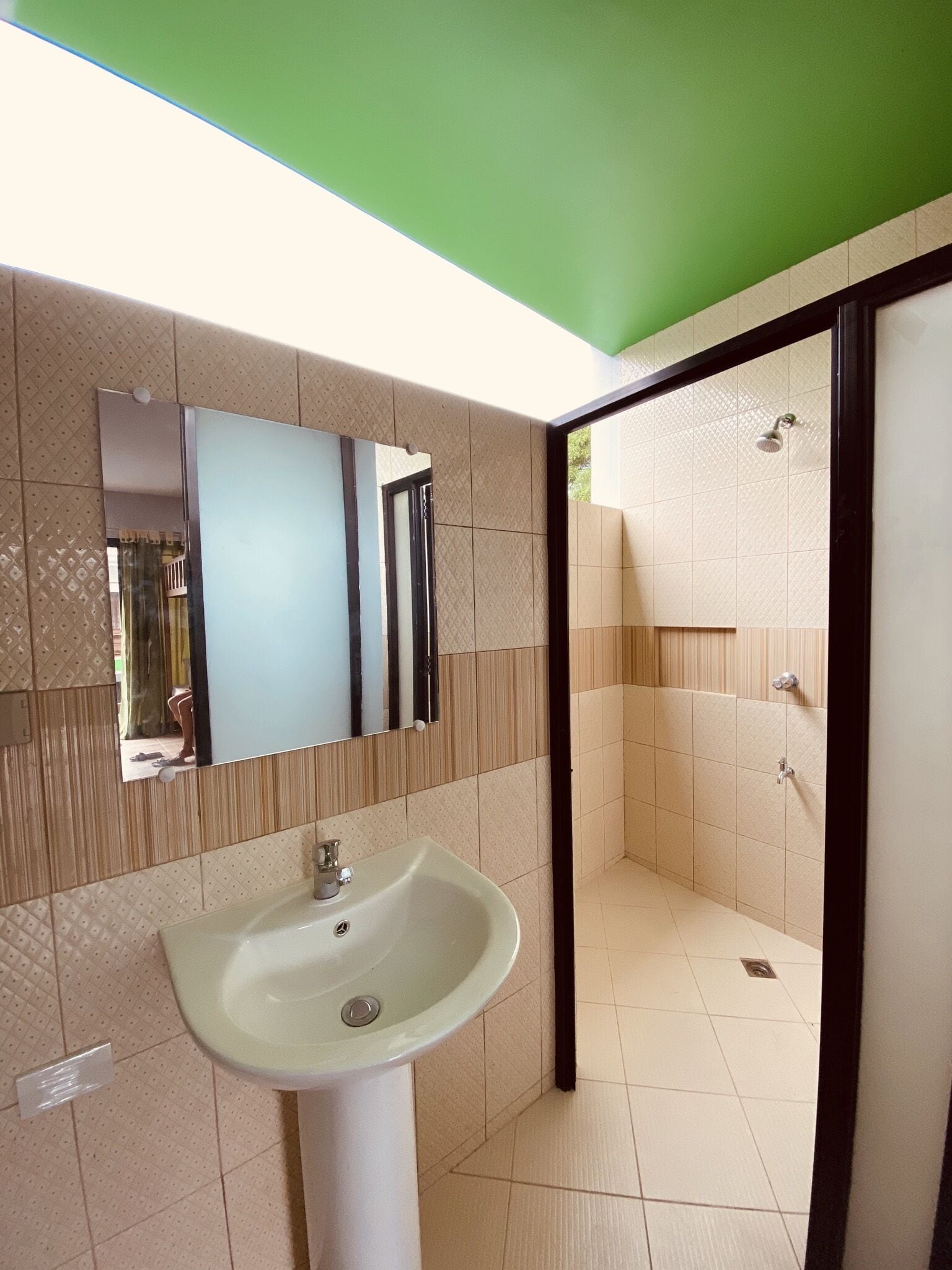 Un baño con lavamanos, espejo, ducha y techo verde.
