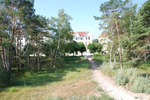 Un chemin menant à un bâtiment entouré d’arbres.