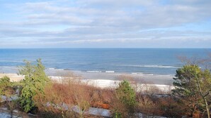 A beach with a view of the ocean and trees in the foreground.