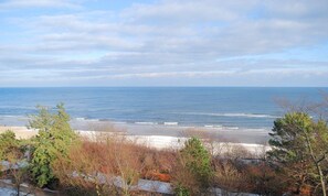 A beach with a view of the ocean and trees in the foreground.