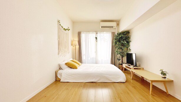 A bedroom with a bed, a TV, a desk, and a plant.