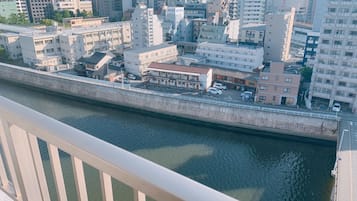 Vue depuis le balcon