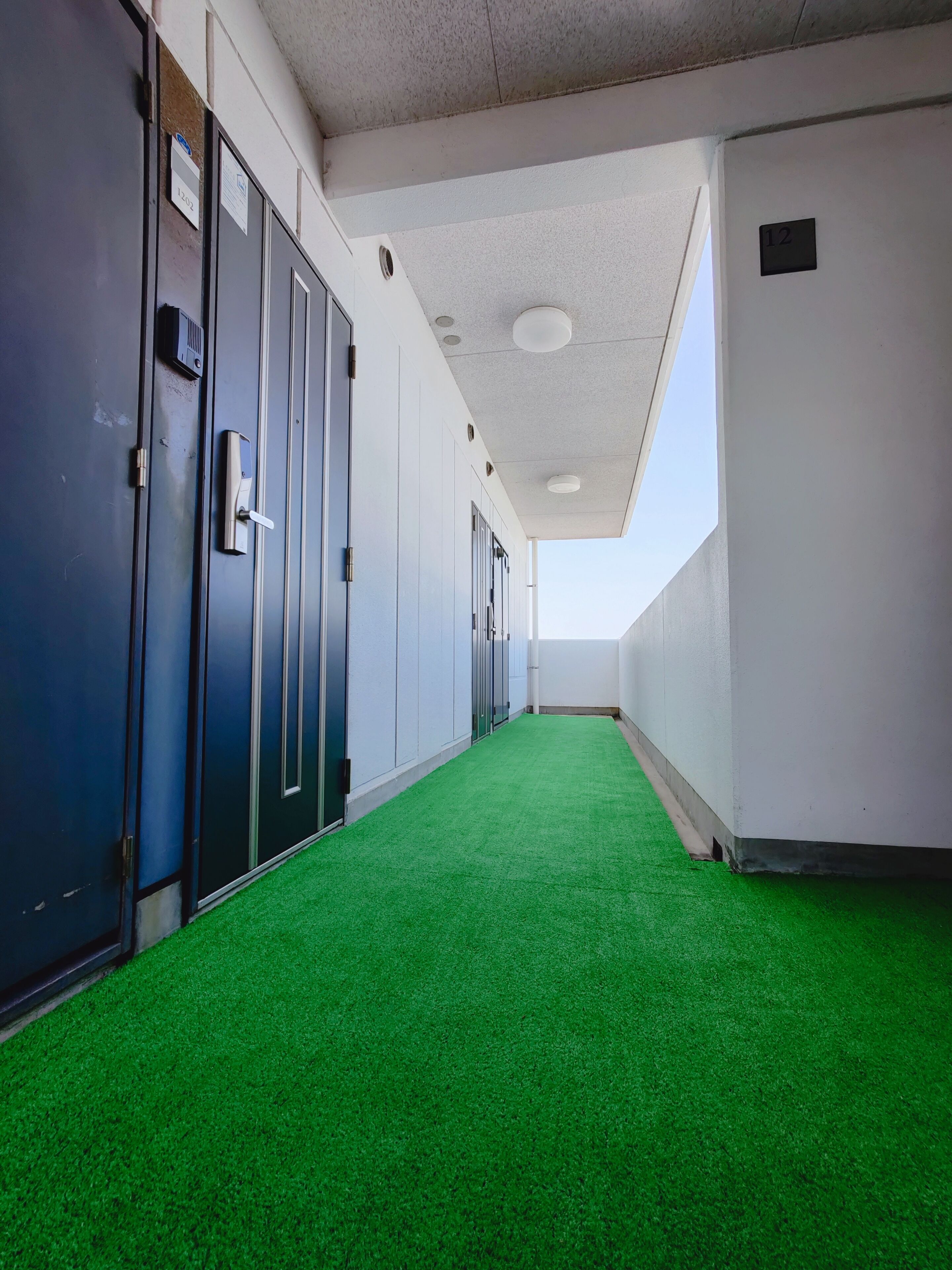 Un pasillo con alfombra verde, taquillas metálicas y paredes blancas.