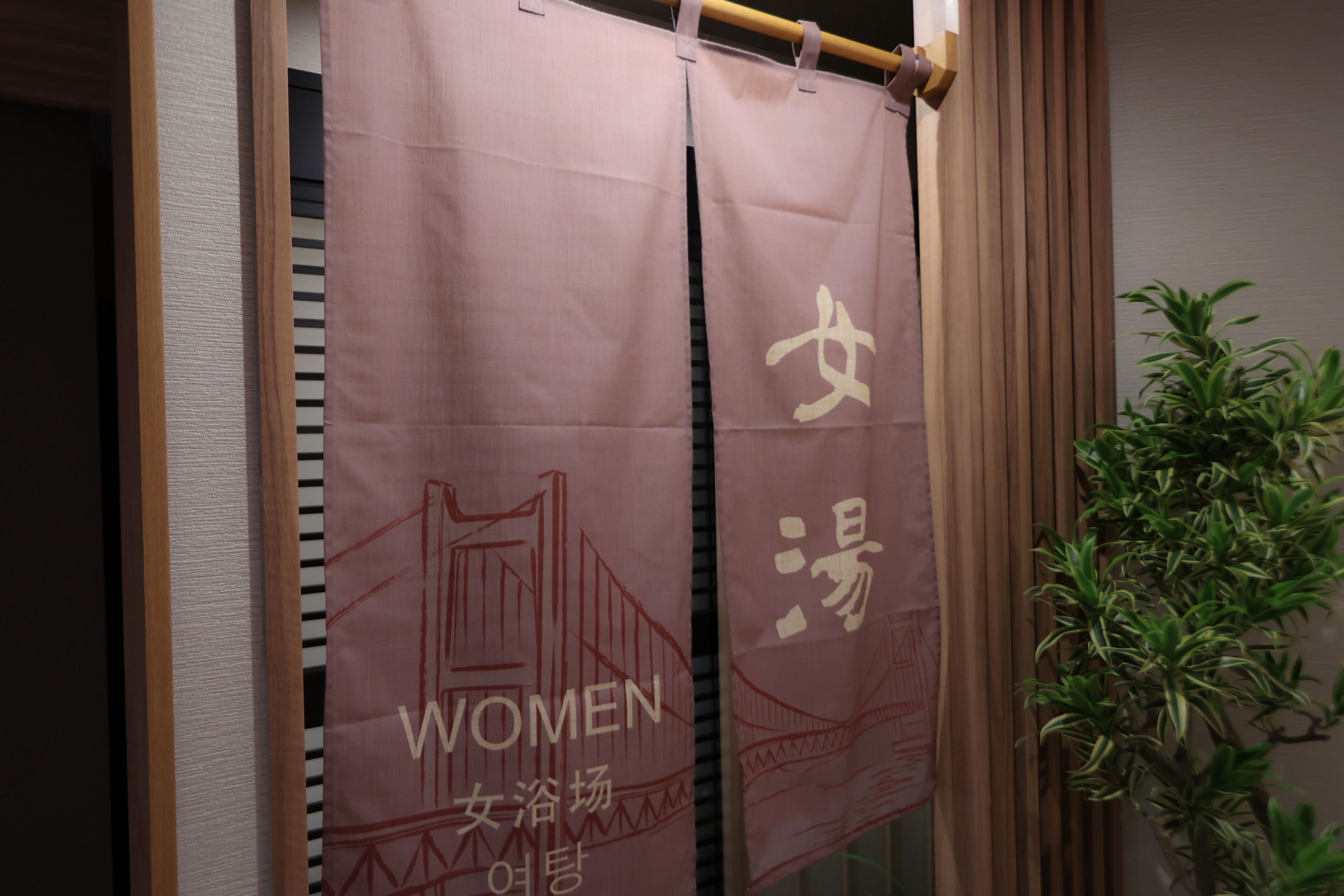 A room with a sliding door featuring a pink banner with the word "WOMEN" and a bridge illustration, a wooden door frame, and a potted plant on the right.