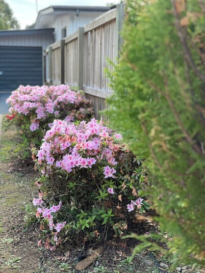 Modern than 3 bedroom house  with office space in the center of Kallangur