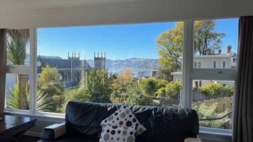 Smart TV, fireplace, books