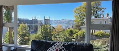 Smart TV, fireplace, books