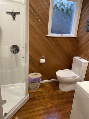 Combined shower/tub, hair dryer, towels, soap