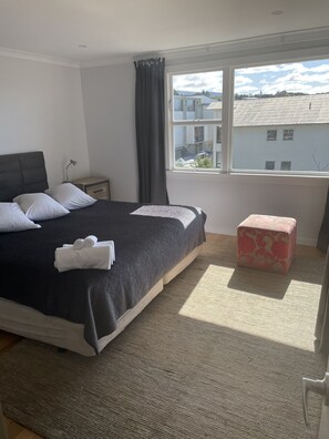 4 bedrooms, iron/ironing board, travel cot, free WiFi - City Views on Rattray, Large and luxurious close to town (Dunedin)