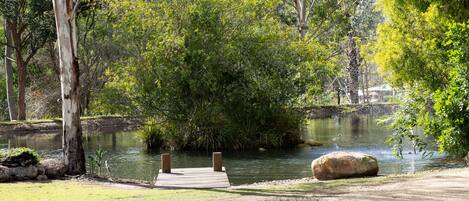 A wooden dock extending into a calm body of water, surrounded by lush greenery and trees.