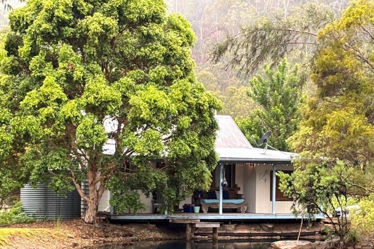Una cabaña junto al lago con un muelle, rodeada de exuberante follaje y árboles.