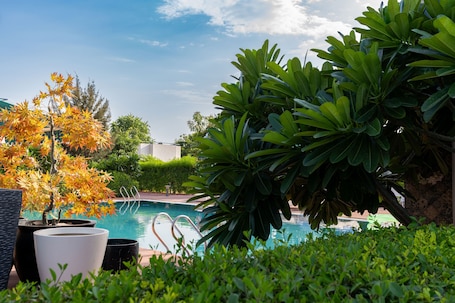 Alberca al aire libre y camastros