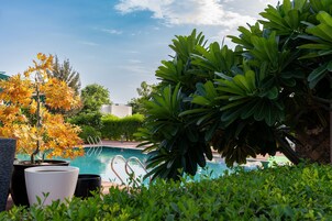 Outdoor pool, pool loungers