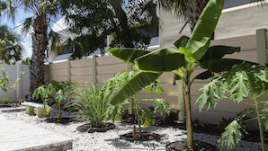 A garden with various plants and a bench.