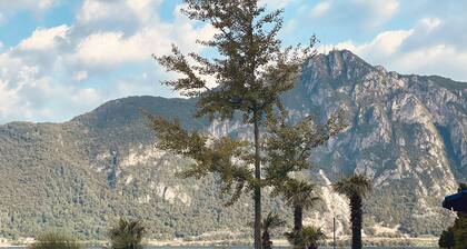 Bissone Lake Apartment 403