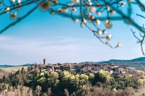 Apartment | Außenbereich