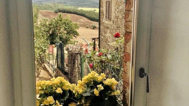 Vista desde una ventana que da a un paisaje rural con campos, un edificio de piedra y una maceta con flores amarillas.
