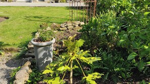 A stone house with a garden in front, including a metal trellis and potted plants. - Country house on the edge of a forest with landscaped garden. (Billio)