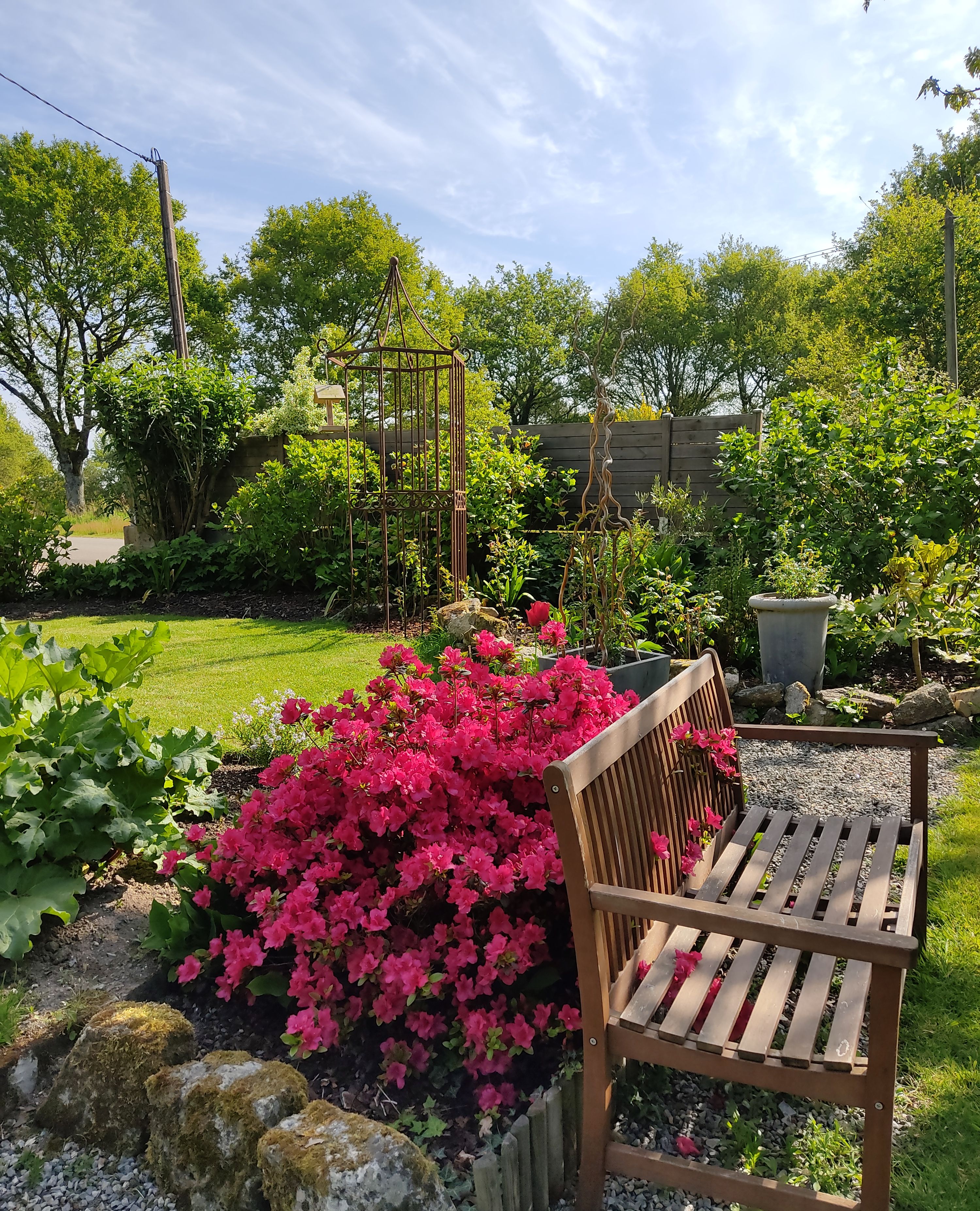 Un jardín con un banco de madera, una enrejada metálica y diversas plantas.