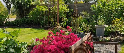 Un jardín con un banco de madera, una enrejada metálica y diversas plantas.