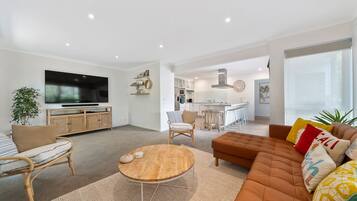 Smart TV, fireplace, DVD player, books