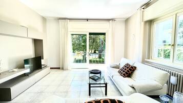 Smart TV, fireplace, books