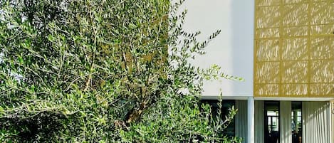 Fachada del alojamiento