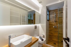 Ducha, cabezal de ducha tipo lluvia, secador de pelo, toallas