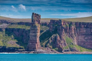 A coastal cliff with prominent rock formations. - The Steading (South Walls)