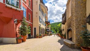 A cobblestone street lined with colorful buildings, potted plants, and a clear sky.