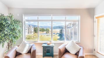 Smart TV, chimenea, reproductor de DVD y libros