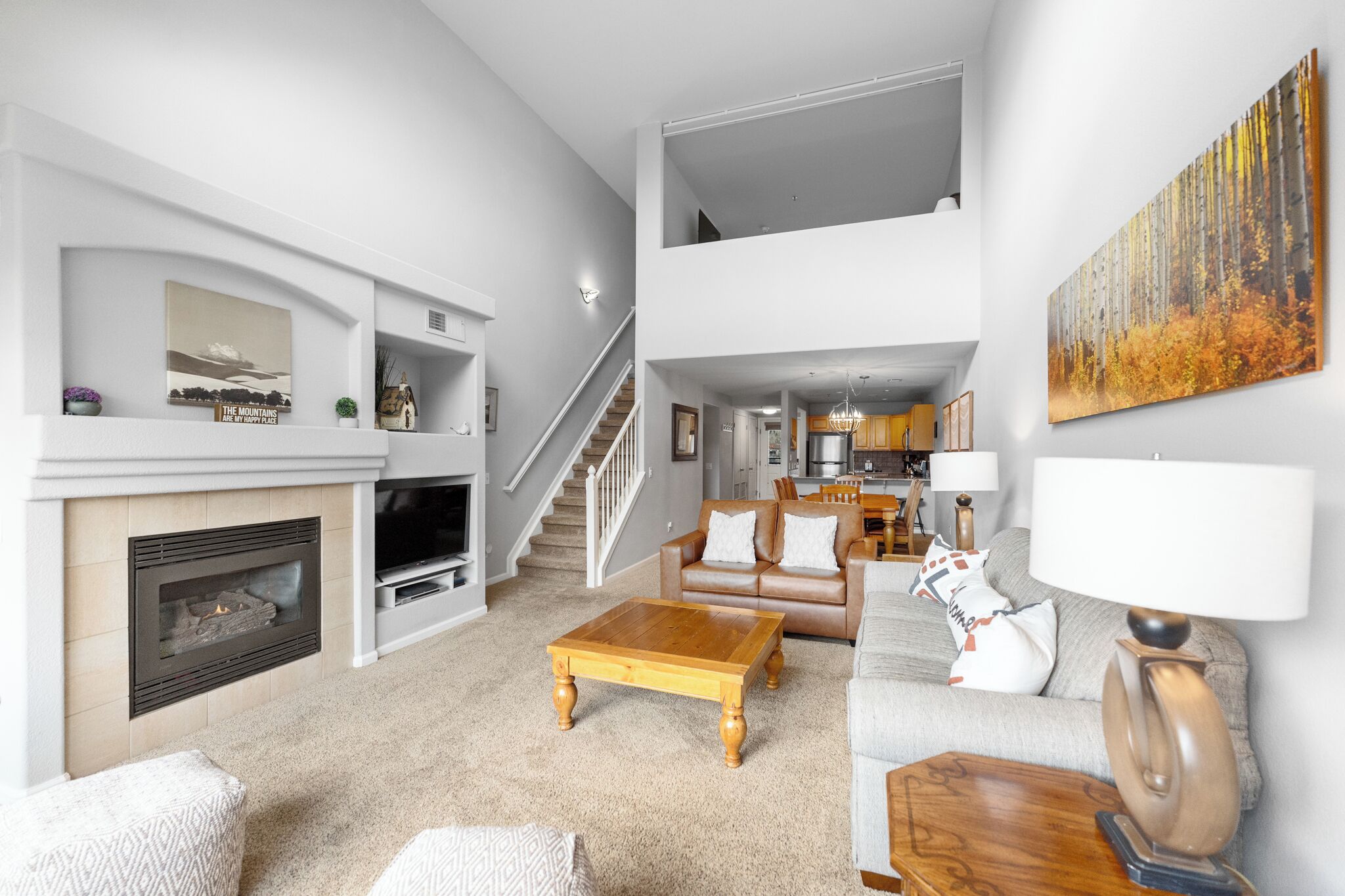 智能电视、壁炉、DVD 播放器、书