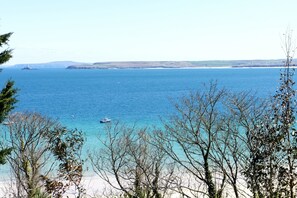 Blick auf die Küste mit einem Boot auf dem Wasser, Bäume im Vordergrund und einer fernen Uferlinie.