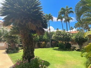 A well-maintained garden with palm trees, a lawn, and various plants.