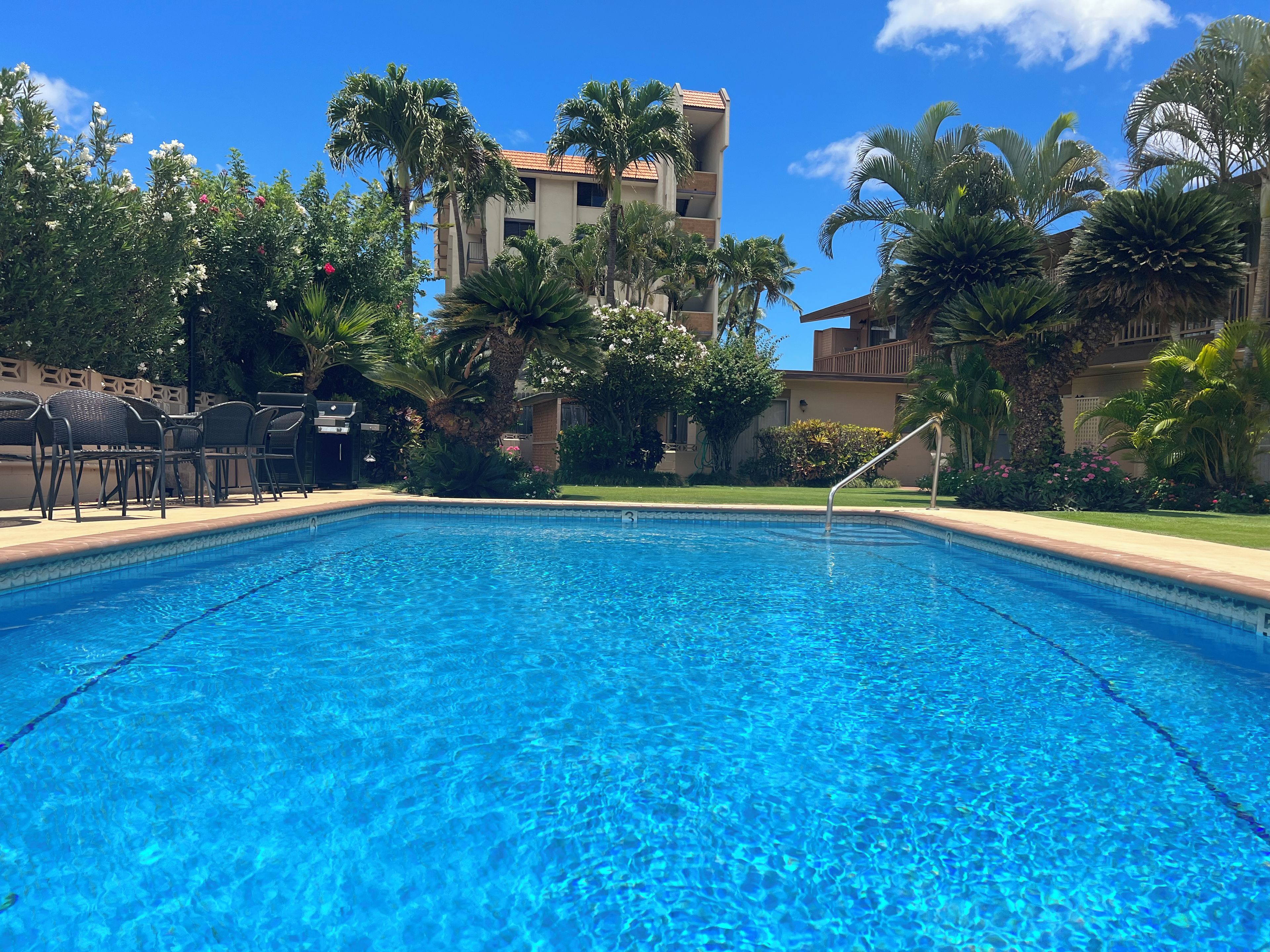 A clear blue pool surrounded by palm trees and outdoor seating.