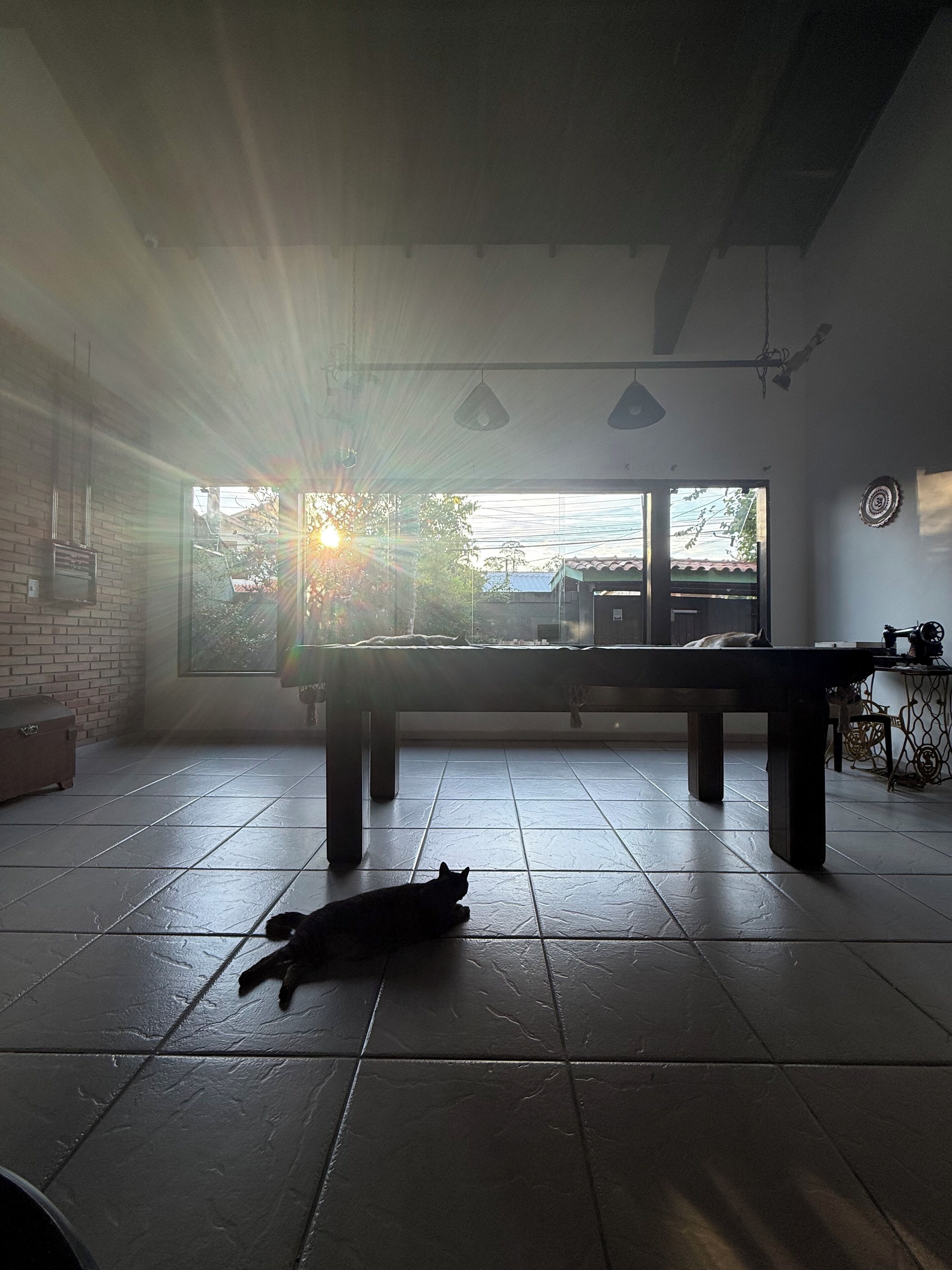 Smart TV 32 polegadas com canais via satélite, Netflix