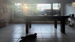 A room with a large window, a billiards table, and a cat lying on the floor. - Pousada Bahan (Ubatuba)