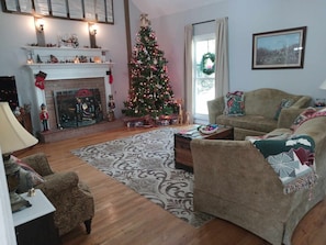 Smart TV, fireplace, DVD player, books