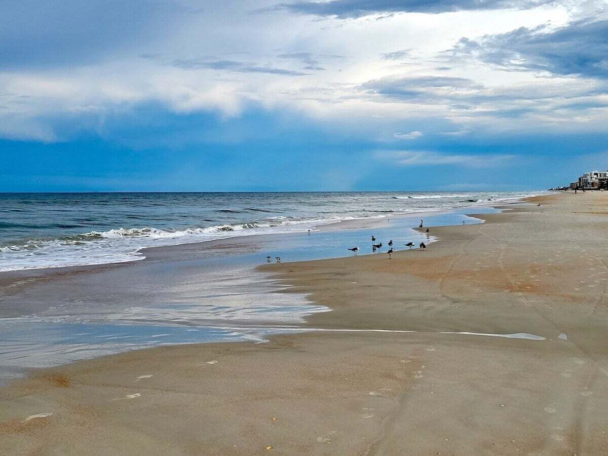 A beach with waves, a clear sky, and a few birds.