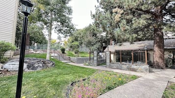 Studio | Property grounds