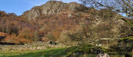 A natural landscape with a rocky mountain, a grassy field, and a tree with bare branches.